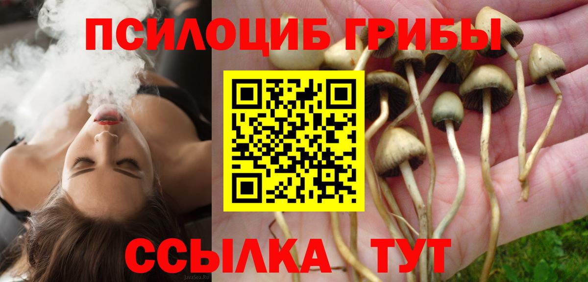 Подольск  Галлюциногенные грибы MAGIC MUSHROOMS  Вход с VPN 